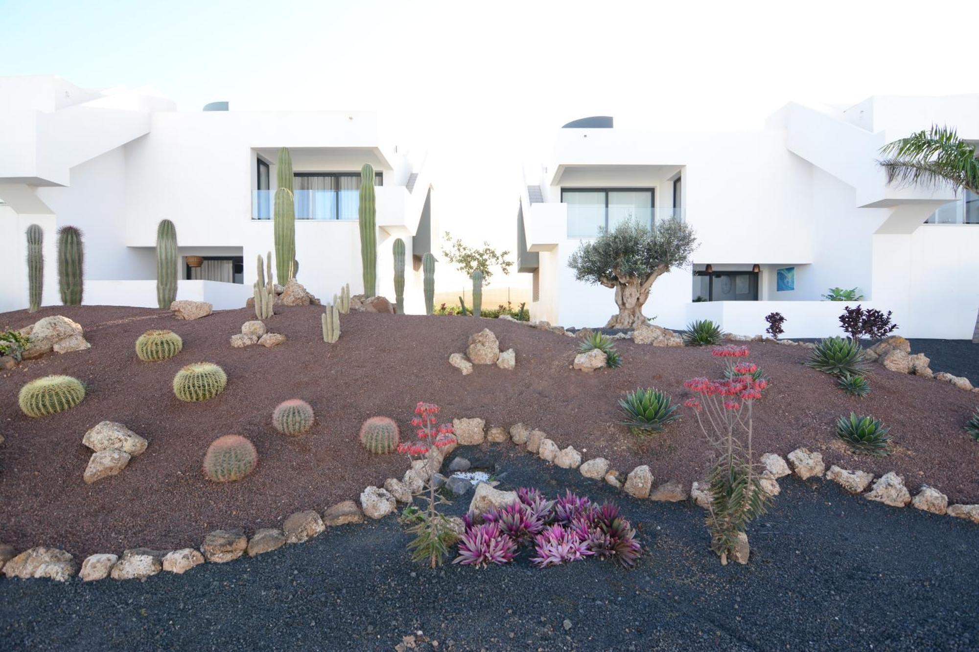 Luxury Apartment In Casilla De Costa - Casa Meva Lajares Dış mekan fotoğraf